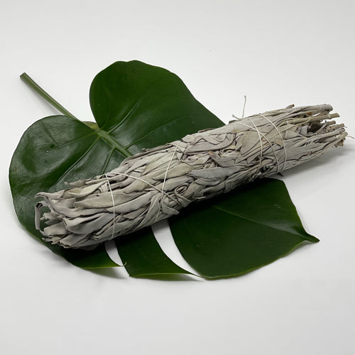 White Sage Stick